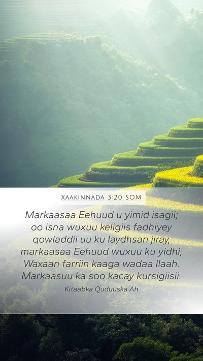 Xaakinnada 3:20 SOM Mobile Phone Wallpaper - Markaasaa Eehuud u yimid isagii; oo isna wuxuu - Mobile Bible Verse Wallpaper