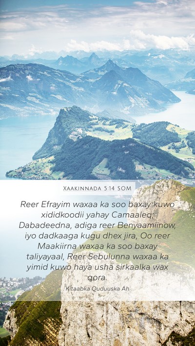 Xaakinnada 5:14 SOM Bible Verse Image