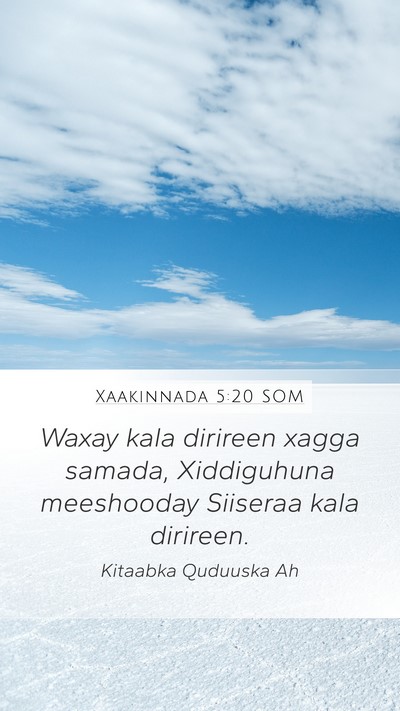 Xaakinnada 5:20 SOM Bible Verse Image