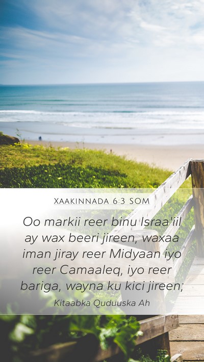 Xaakinnada 6:3 SOM Bible Verse Image