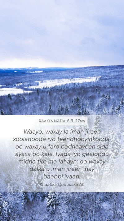 Xaakinnada 6:5 SOM Bible Verse Image
