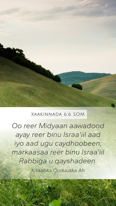 Xaakinnada 6:6 SOM Bible Verse Image