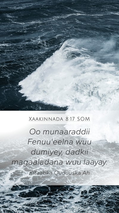 Xaakinnada 8:17 SOM Bible Verse Image