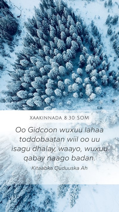 Xaakinnada 8:30 SOM Bible Verse Image