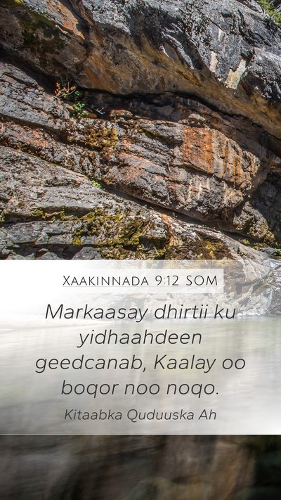 Xaakinnada 9:12 SOM Mobile Phone Wallpaper - Markaasay dhirtii ku yidhaahdeen geedcanab, - Mobile Bible Verse Wallpaper