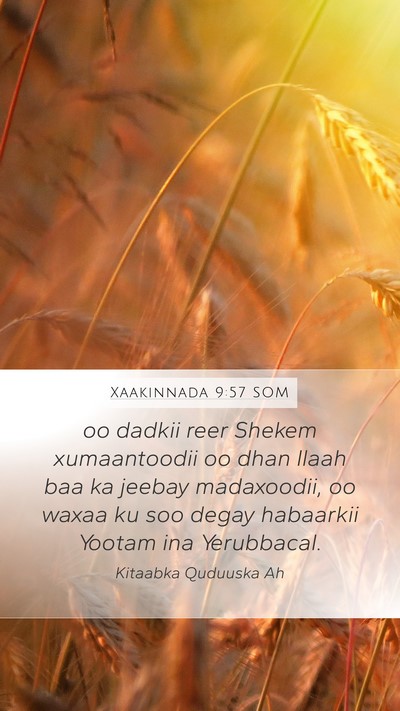Xaakinnada 9:57 SOM Bible Verse Image