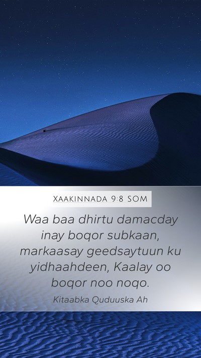 Xaakinnada 9:8 SOM Bible Verse Image
