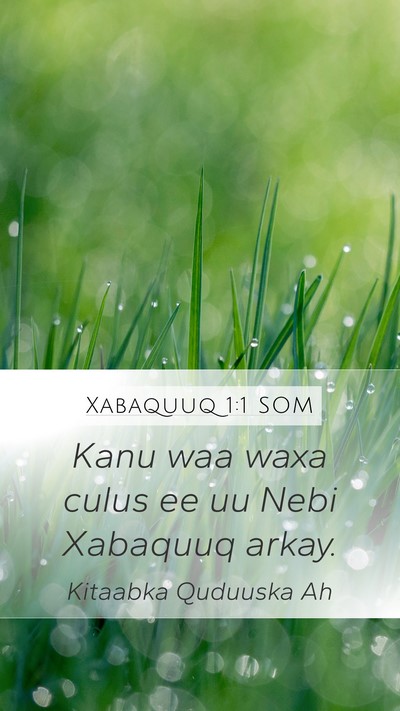 Xabaquuq 1:1 SOM Mobile Phone Wallpaper - Kanu waa waxa culus ee uu Nebi Xabaquuq - Mobile Bible Verse Wallpaper