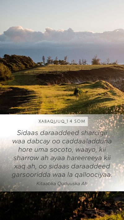 Xabaquuq 1:4 SOM Bible Verse Image