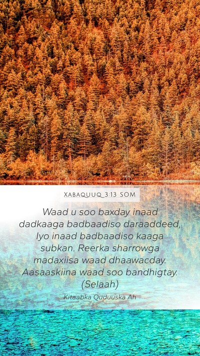 Xabaquuq 3:13 SOM Bible Verse Image