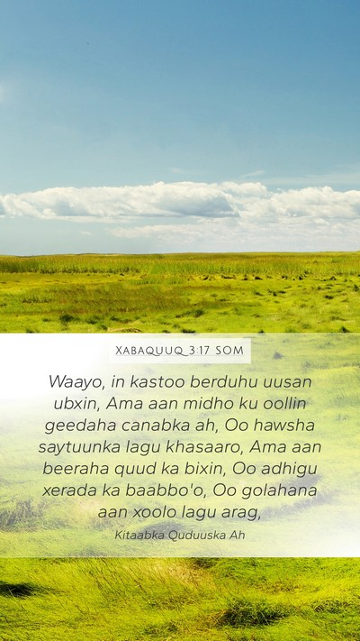 Xabaquuq 3:17 SOM Bible Verse Image