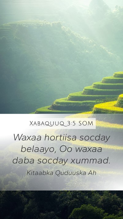 Xabaquuq 3:5 SOM Bible Verse Image