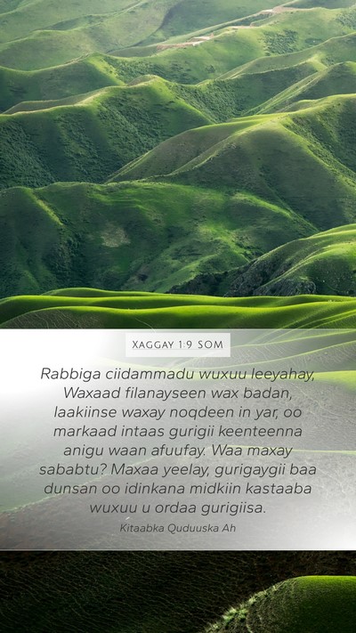 Xaggay 1:9 SOM Bible Verse Image