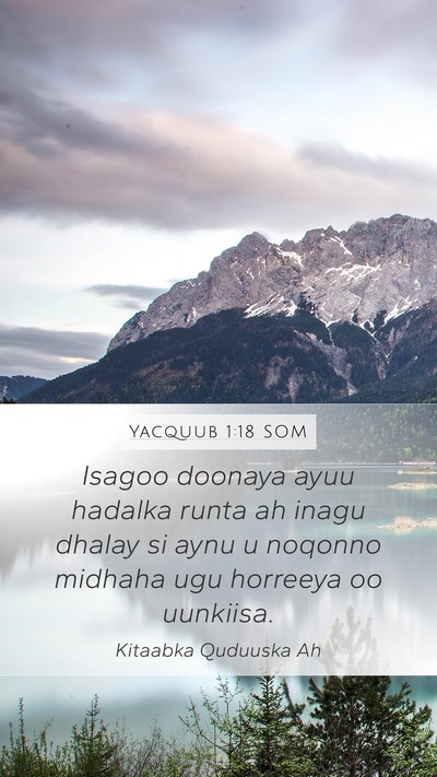 Yacquub 1:18 SOM Bible Verse Image