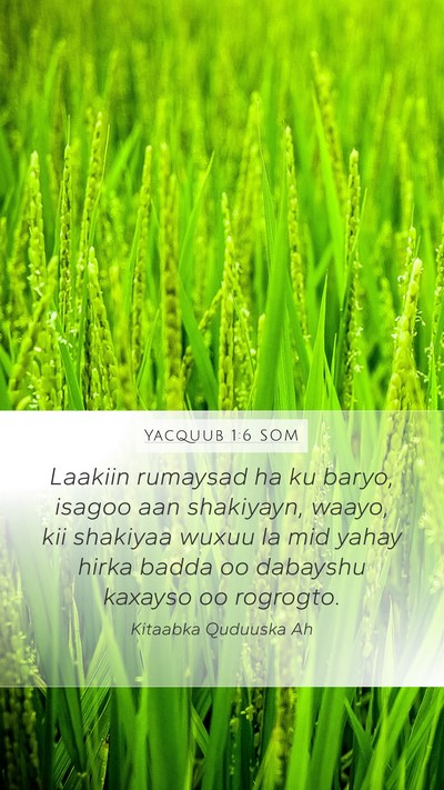 Yacquub 1:6 SOM Bible Verse Image