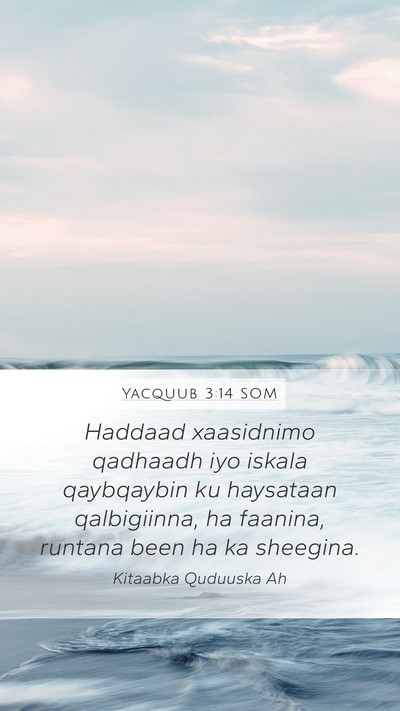 Yacquub 3:14 SOM Bible Verse Image
