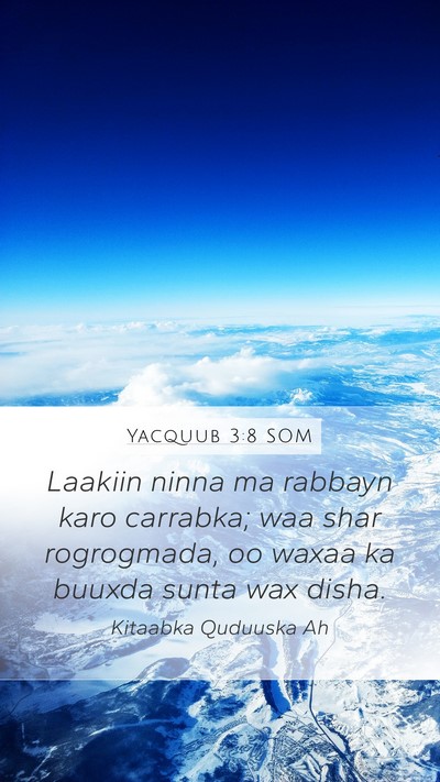 Yacquub 3:8 SOM Mobile Phone Wallpaper - Laakiin ninna ma rabbayn karo carrabka; waa shar - Mobile Bible Verse Wallpaper