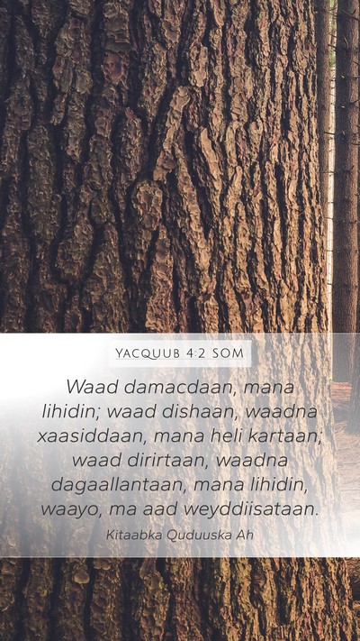 Yacquub 4:2 SOM Bible Verse Image