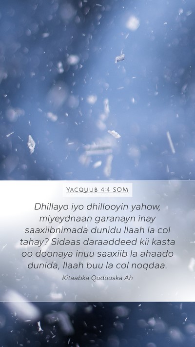 Yacquub 4:4 SOM Bible Verse Image