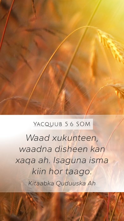 Yacquub 5:6 SOM Bible Verse Image