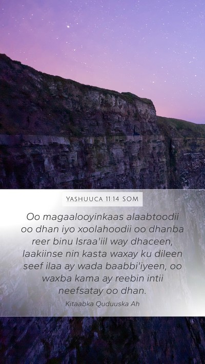 Yashuuca 11:14 SOM Bible Verse Image