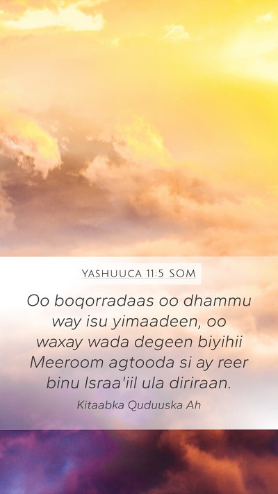 Yashuuca 11:5 SOM Mobile Phone Wallpaper - Oo boqorradaas oo dhammu way isu yimaadeen, oo - Mobile Bible Verse Wallpaper