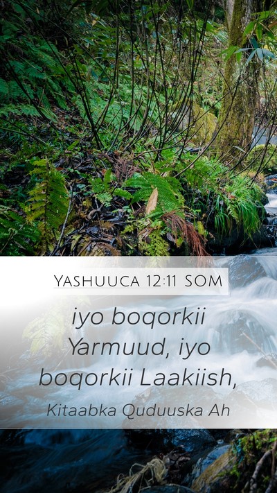 Yashuuca 12:11 SOM Bible Verse Image