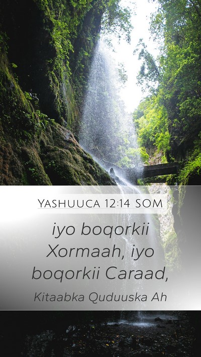 Yashuuca 12:14 SOM Bible Verse Image