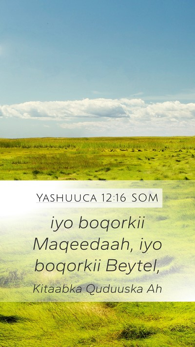 Yashuuca 12:16 SOM Mobile Phone Wallpaper - iyo boqorkii Maqeedaah, iyo boqorkii - Mobile Bible Verse Wallpaper