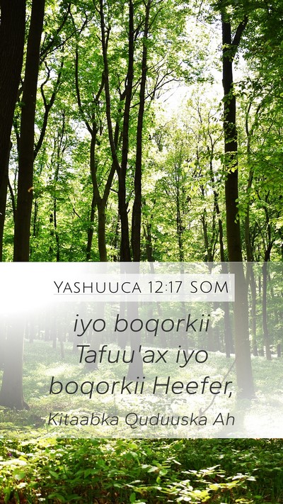 Yashuuca 12:17 SOM Bible Verse Image