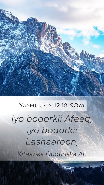 Yashuuca 12:18 SOM Bible Verse Image