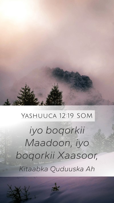 Yashuuca 12:19 SOM Bible Verse Image