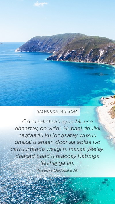 Yashuuca 14:9 SOM Bible Verse Image