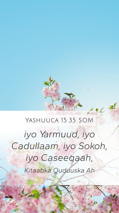 Yashuuca 15:35 SOM Bible Verse Image