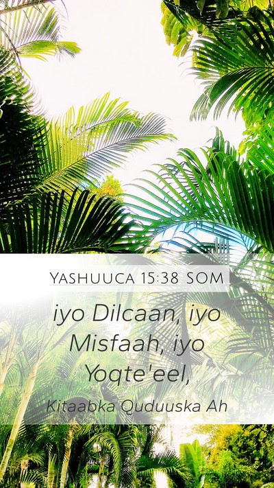 Yashuuca 15:38 SOM Mobile Phone Wallpaper - iyo Dilcaan, iyo Misfaah, iyo - Mobile Bible Verse Wallpaper