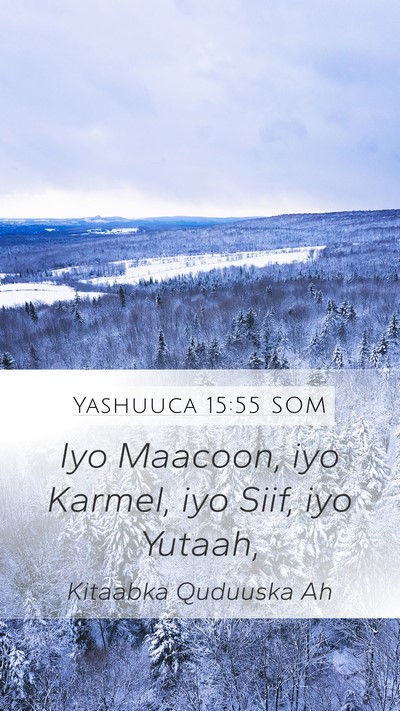 Yashuuca 15:55 SOM Mobile Phone Wallpaper - Iyo Maacoon, iyo Karmel, iyo Siif, iyo - Mobile Bible Verse Wallpaper