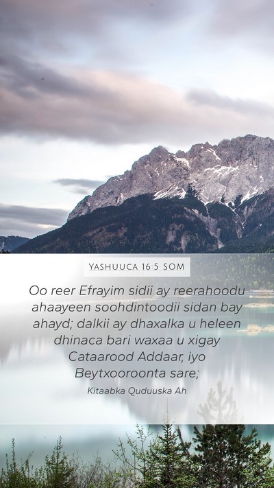 Yashuuca 16:5 SOM Bible Verse Image