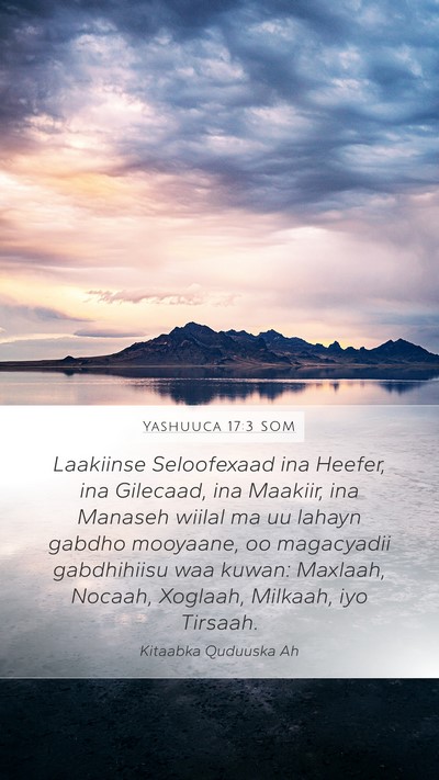 Yashuuca 17:3 SOM Mobile Phone Wallpaper - Laakiinse Seloofexaad ina Heefer, ina Gilecaad, - Mobile Bible Verse Wallpaper