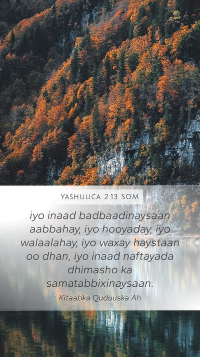 Yashuuca 2:13 SOM Mobile Phone Wallpaper - iyo inaad badbaadinaysaan aabbahay, iyo hooyaday, - Mobile Bible Verse Wallpaper