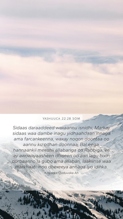 Yashuuca 22:28 SOM Mobile Phone Wallpaper - Sidaas daraaddeed waxaannu isnidhi, Markay sidaas - Mobile Bible Verse Wallpaper