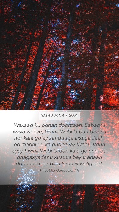 Yashuuca 4:7 SOM Mobile Phone Wallpaper - Waxaad ku odhan doontaan, Sababtu waxa weeye, - Mobile Bible Verse Wallpaper
