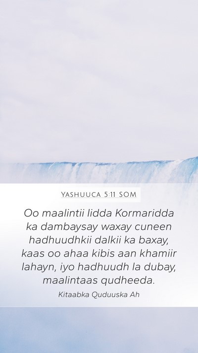 Yashuuca 5:11 SOM Mobile Phone Wallpaper - Oo maalintii Iidda Kormaridda ka dambaysay waxay - Mobile Bible Verse Wallpaper