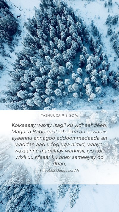 Yashuuca 9:9 SOM Mobile Phone Wallpaper - Kolkaasay waxay isagii ku yidhaahdeen, Magaca - Mobile Bible Verse Wallpaper