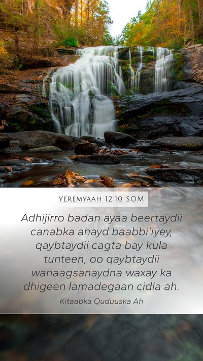Yeremyaah 12:10 SOM Bible Verse Image