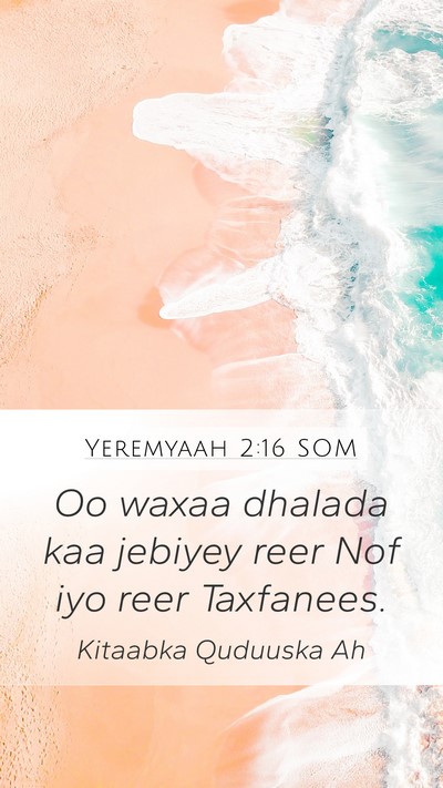 Yeremyaah 2:16 SOM Bible Verse Image