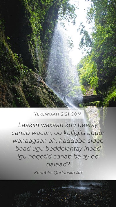 Yeremyaah 2:21 SOM Bible Verse Image