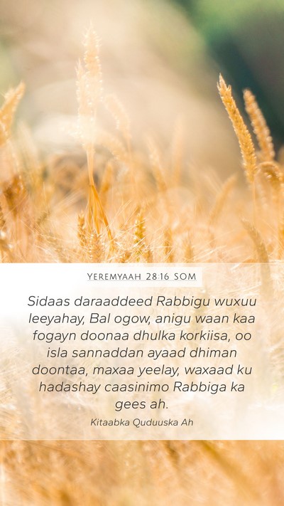 Yeremyaah 28:16 SOM Bible Verse Image