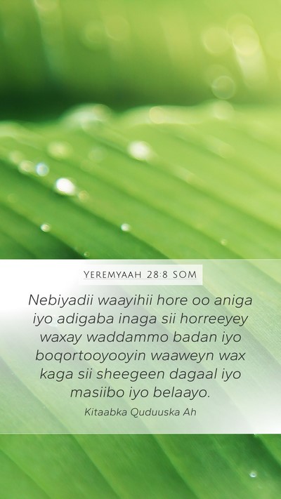 Yeremyaah 28:8 SOM Bible Verse Image