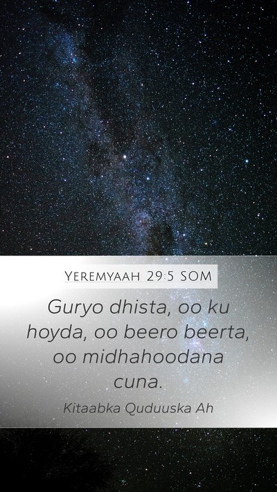 Yeremyaah 29:5 SOM Bible Verse Image