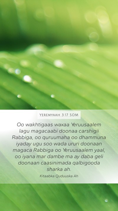 Yeremyaah 3:17 SOM Bible Verse Image